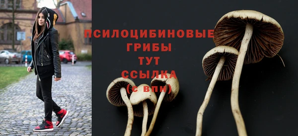 марки nbome Вяземский