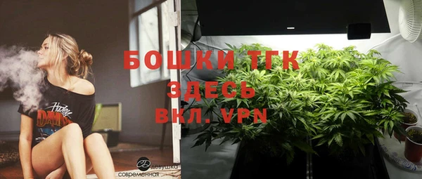дживик Вязники