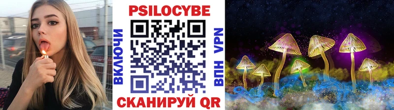 Псилоцибиновые грибы Cubensis Малаховка