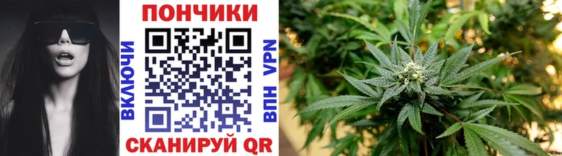 Бошки марихуана LSD WEED  гидра маркетплейс  Малаховка 